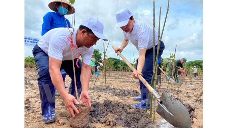 Plantation d’arbres dans le district de Tiên Yên (de la province de Quang Ninh). Photo : VNA.