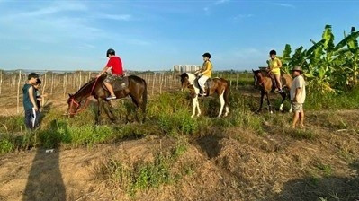 Les jeunes font une balade à cheval. Photo : VNA.