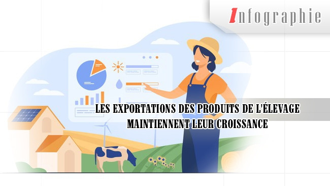 [Infographie] Les exportations des produits de l'élevage maintiennent leur croissance