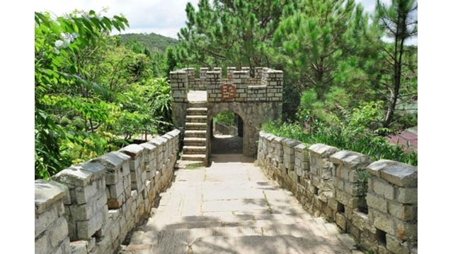 La colline de Mông Mo est l’un des symboles de la ville des milliers de fleurs. Elle est considérée comme Dà Lat en miniature pleine de fleurs. Photo: https://vietnamnet.vn