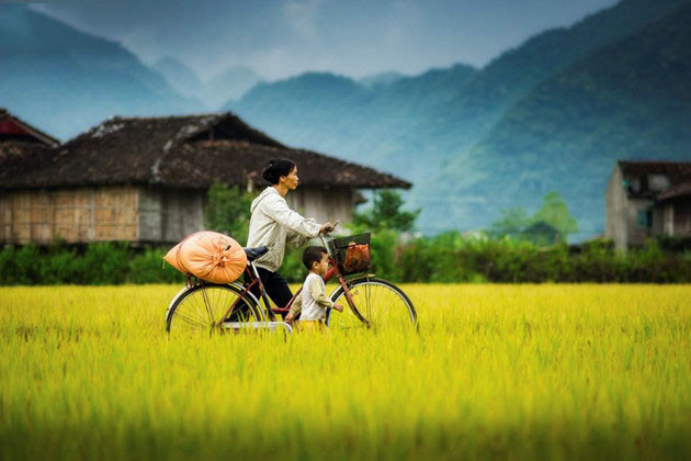 Le bonheur familial simple dans différentes régions du Vietnam ảnh 15 Le bonheur familial simple dans différentes régions du Vietnam ảnh 15