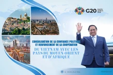 Consolidation de la confiance politique et renforcement de la coopération du Vietnam avec les pays du Moyen-Orient et d’Afrique