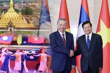 Renforcement de l'amitié et de la solidarité Vietnam-Laos