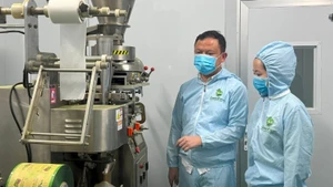 La chaîne d’emballage de thé matcha de Tran Van Tan. Photo : nhandan.vn