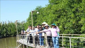 Des touristes visitent et découvrent les forêts de mangroves des communes côtières de l'île d'An Hoa, dans la province de Vinh Long. Photo : VNA.