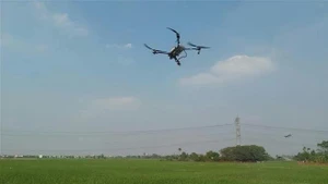 La pulvérisation par drone de produits phytosanitaires est autorisée à certaines conditions. Photo : VNA.