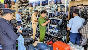 L'équipe interdisciplinaire de la province de An Giang a inspecté, découvert et saisi une grande quantité de marchandises d'origine inconnue dans un magasin du centre de la ville de Long Xuyên. Photo : VNA.