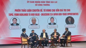 Conférence de connexion commerciale et de promotion des exportations 2025 dans la province vietnamienne de Gia Lai. Photo : VNA.