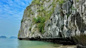 Une plage discrète et sauvage dans la baie de Bái Tử Long, avec des eaux limpides et paisibles à couper le souffle. Photo: VOV