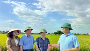  Le directeur du Département de l’Agriculture et de l’Environnement de Hanoï, Nguyen Xuan Dai, inspecte la production en 2025. Photo: kinhtedothi.vn