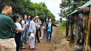 Les visiteurs découvrent et expérimentent les maisons funéraires ainsi que les statues funéraires du peuple Jrai. Photo : nhandan.vn