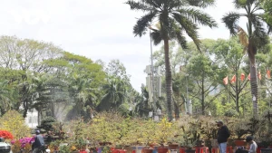 Le marché aux fleurs, aux plantes ornementales et aux arts traditionnels dans le quartier de Buon Ma Thuot. Photo : VOV.
