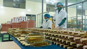 La société à responsabilité limitée Triêt Minh investit dans la modernisation de ses chaînes de production et l’application de technologies modernes. Photo : VNA.