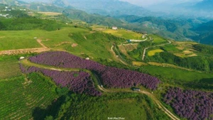 Panorama de Suoi Bon. Photo : sgtt.thesaigontimes.vn