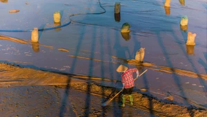 Le projet intitulé : « Intégration de la résilience au changement climatique et de la protection de l’environnement pour le développement des villes vertes de type II ». Photo: nhandan.vn