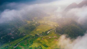 La saison dorée « coule » à travers les vallées, illuminant tout un coin de ciel. Photo: vnexpress.net