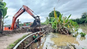 marée exceptionnelle a également provoqué des inondations dans plusieurs zones de Can Tho. Photo : vnexpress.net