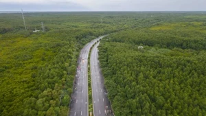 La route de Rung Sac traverse la forêt de Can Gio, septembre 2025. Photo : vnexpress.net