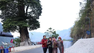 L’« arbre solitaire » de Can Ty, dressé au cœur du paysage rocheux, est devenu un point de check-in familier des visiteurs lors de leur exploration du plateau karstique de Dong Van.