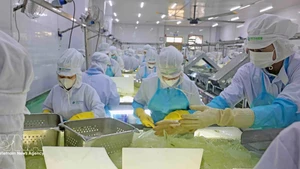 Chaîne de production d’aloe vera de VietFarm. Photo : VNA.