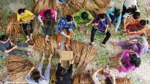 Le partenariat entre l'UFV et Unilever Vietnam a été déployé dans 21 villes et provinces, avec des activités concrètes adaptées aux réalités locales, ayant un impact positif sur la vie de plus de 100 000 femmes.. Photo : VNA.