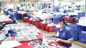 Des ouvriers au travail dans une entreprise privée de la province de Dong Nai. Photo : nhandan.vn