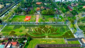 Le jardin printanier au cœur de la Cité impériale de Huê. Photo : tienphong.vn