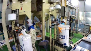 Conditionnement de riz destiné à l’exportation dans l’usine du groupe Lộc Trời. Photo : hanoimoi.vn