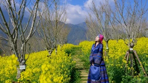 Photo : tuoitrethudo.vn