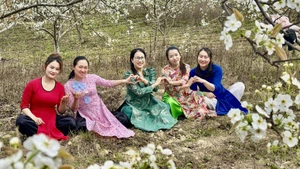 Le site Géoparc mondial UNESCO du plateau karstique de Dong Van, dans la province de Tuyen Quang. Photo : nhandan.vn