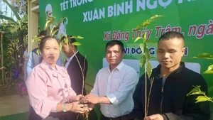 Les autorités de la commune de Dang Thuy Tram ont offert des jeunes plants de fleurs de mai anh đào aux habitants. Photo : baovanhoa.vn