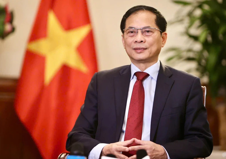 Le vice-Premier ministre vietnamien et ministre des Affaires étrangères du Vietnam, Bui Thanh Son. Photo : NDEL.