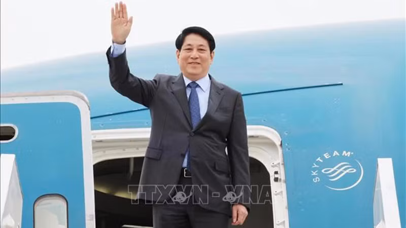 Le président du Vietnam, Luong Cuong. Photo : VNA.