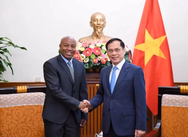 Le vice-Premier ministre et ministre des Affaires étrangères Bui Thanh Son (droite) et le vice-ministre tanzanien des Affaires étrangères et de la Coopération est-africaine, Cosato David Chumi. Photo : VNA.