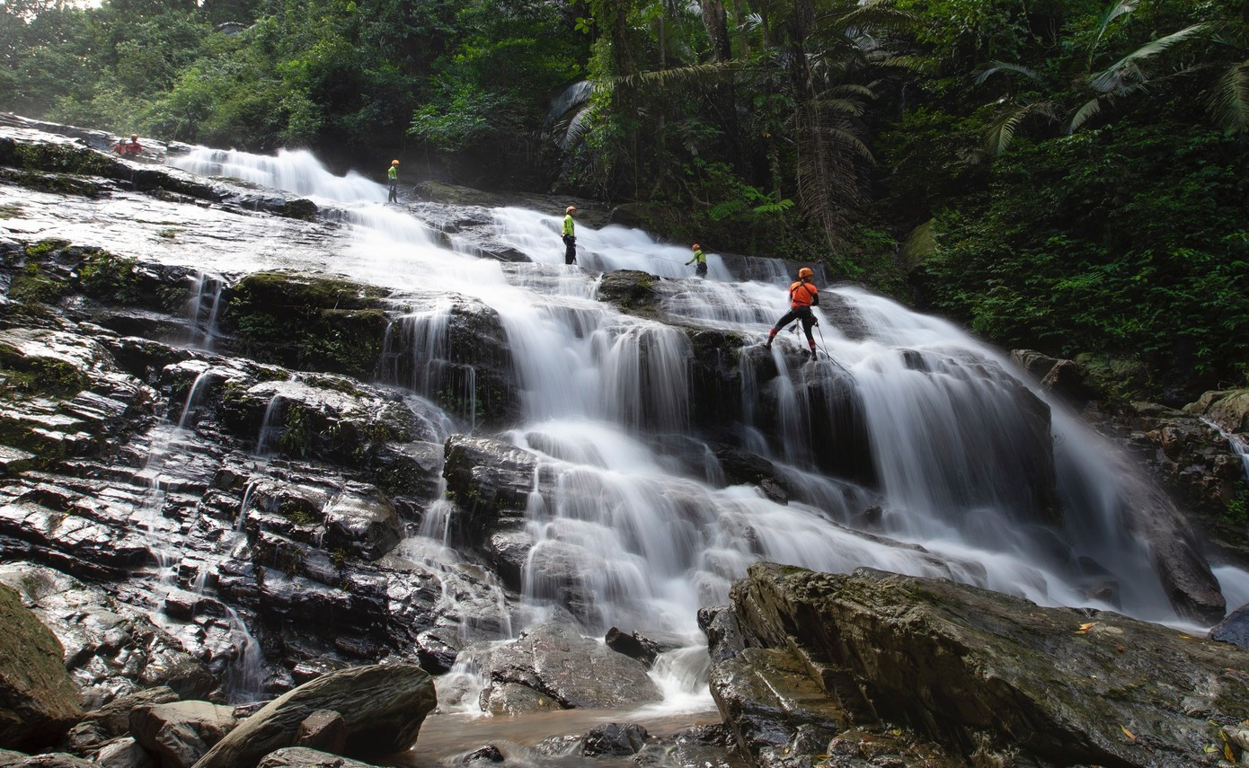Les visiteurs peuvent s'immerger dans le rythme de la forêt grâce à des expériences palpitantes. Photo: tienphong.vn image-7.jpg