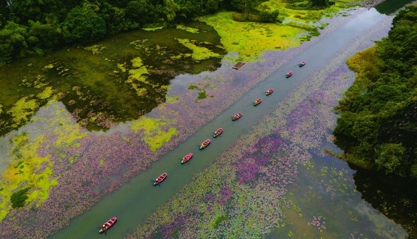 Tam Coc - Bich Dong - une beauté émouvante. Photo: nld.com.vn