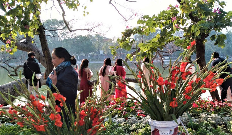 Photo : Quang Tuan/NDEL. Photo : Quang Tuan/NDEL.