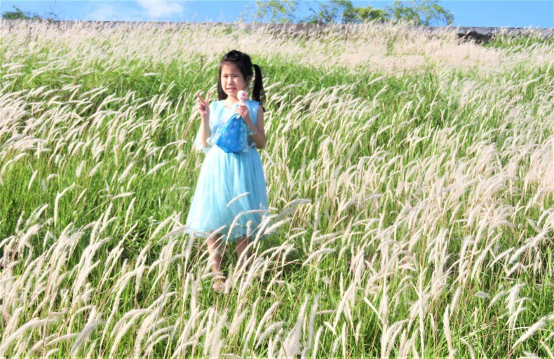 Photo : TUÊ NHI/NDEL. Photo : TUÊ NHI/NDEL.