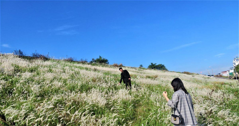 Photo : TUÊ NHI/NDEL. Photo : TUÊ NHI/NDEL.