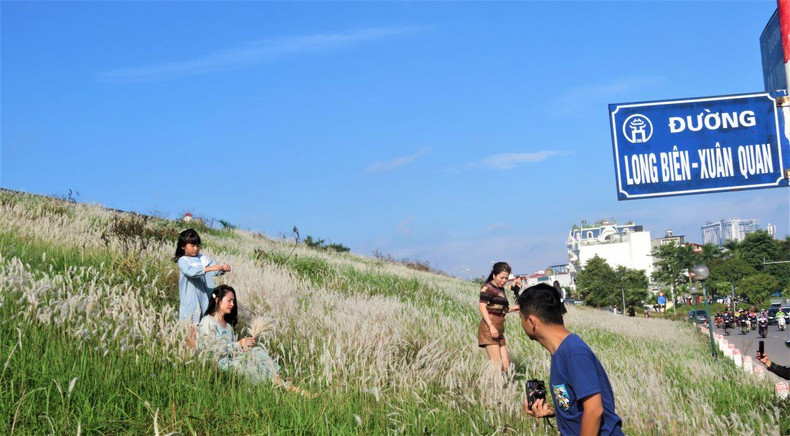 Photo : TUÊ NHI/NDEL. Photo : TUÊ NHI/NDEL.