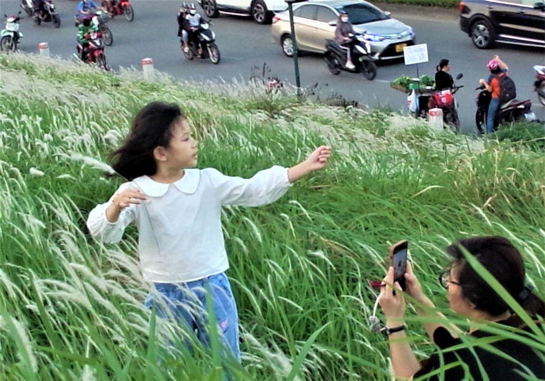 Photo : TUÊ NHI/NDEL. Photo : TUÊ NHI/NDEL.