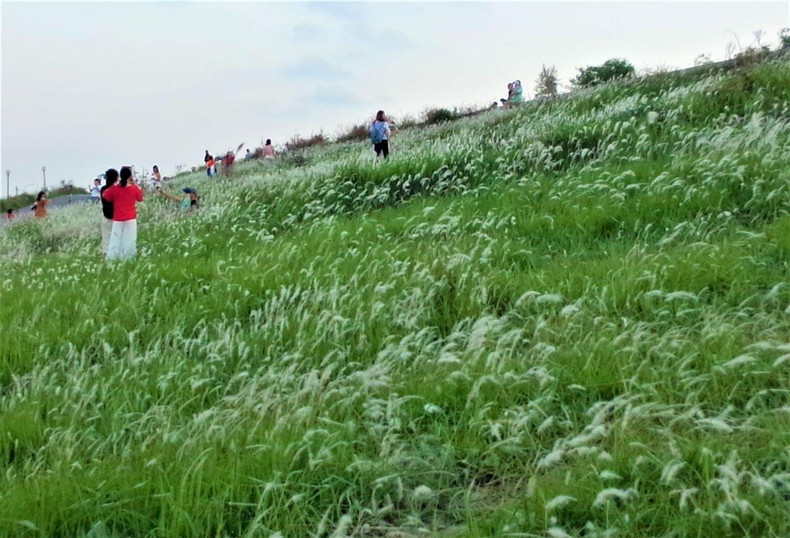 Photo : TUÊ NHI/NDEL. Photo : TUÊ NHI/NDEL.