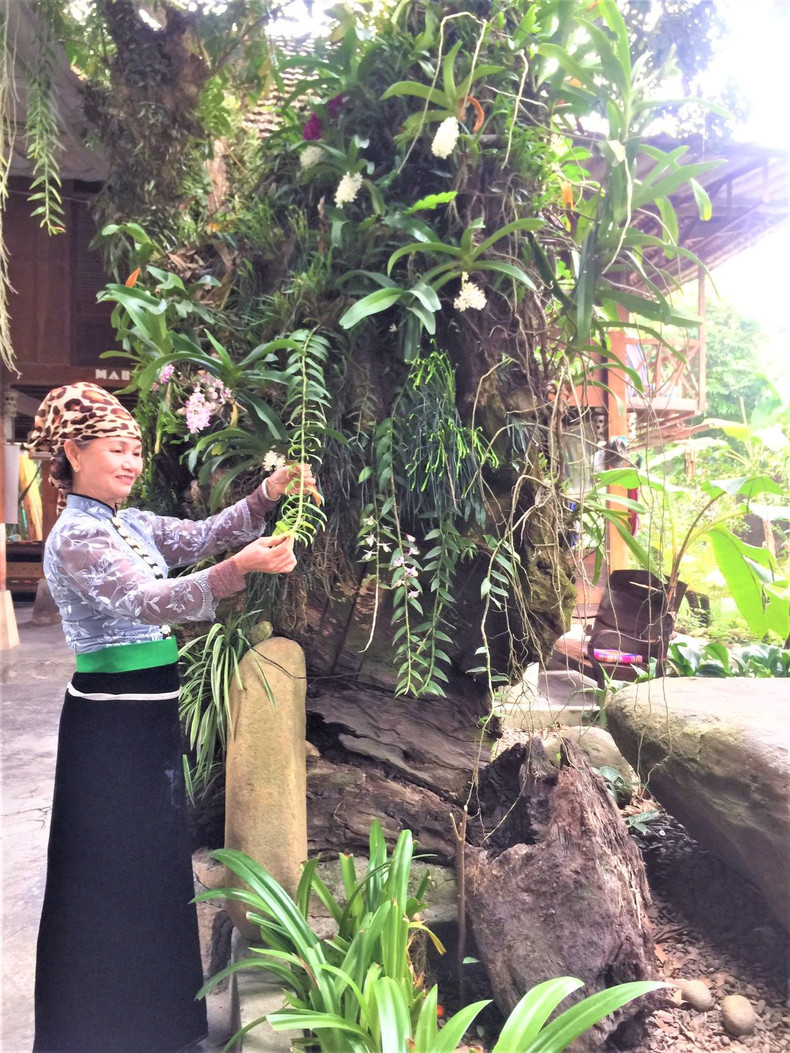 Photo : Dô Tuê/NDEL. Photo : Dô Tuê/NDEL.