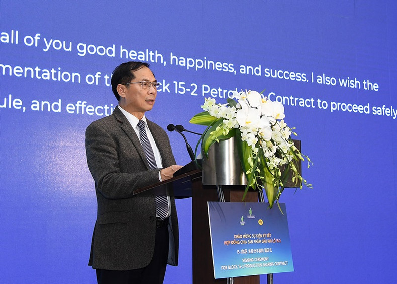 Le vice-Premier ministre Bui Thanh Son s'adress à la cérémonie. Photo : VGP.