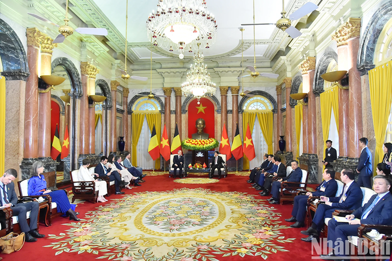 Entrevue entre le président Luong Cuong et le roi Philippe de Belgique. Photo : NDEL.