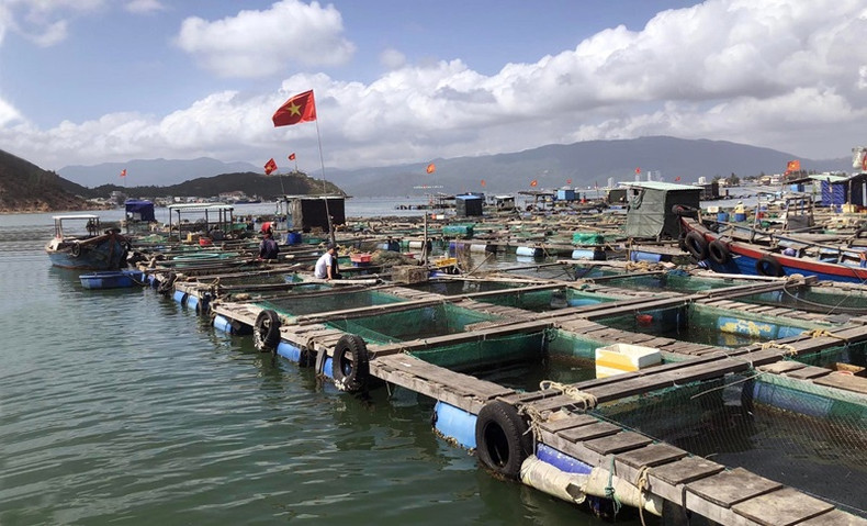 Promouvoir l'aquaculture durable dans le delta du Mékong. Photo d'illustration/ Thiennhienmoitruong. Promouvoir l'aquaculture durable dans le delta du Mékong. Photo d'illustration/ Thiennhienmoitruong.