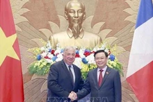 Le Président du Sénat français, Gérard Larcher (à gauche), et le Président de l'Assemblée nationale vietnamienne, Vuong Dinh Huê. Photo : VNA. 