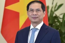 Le ministre des Affaires étrangères Bui Thanh Son. Photo : VNA