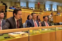 La délégation du Vietnam participant au vote au Conseil des droits de l'homme. Photo: VNA