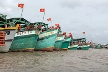 Des navires de pêche du Vietnam. Photo : VNA.